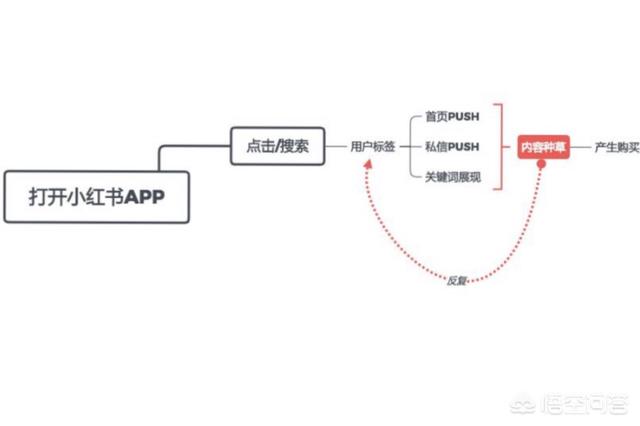 小红书推广引流:小红书推广有用吗，小红书推广的优势在哪里？