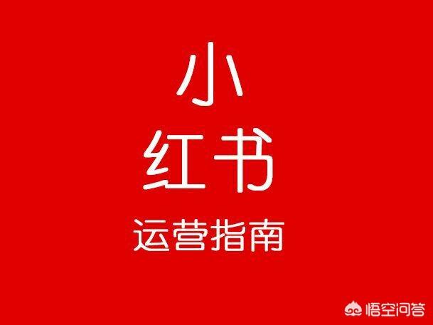 一个新的品牌怎样在小红书上做推广？