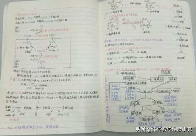 好的笔记应该是怎样的？